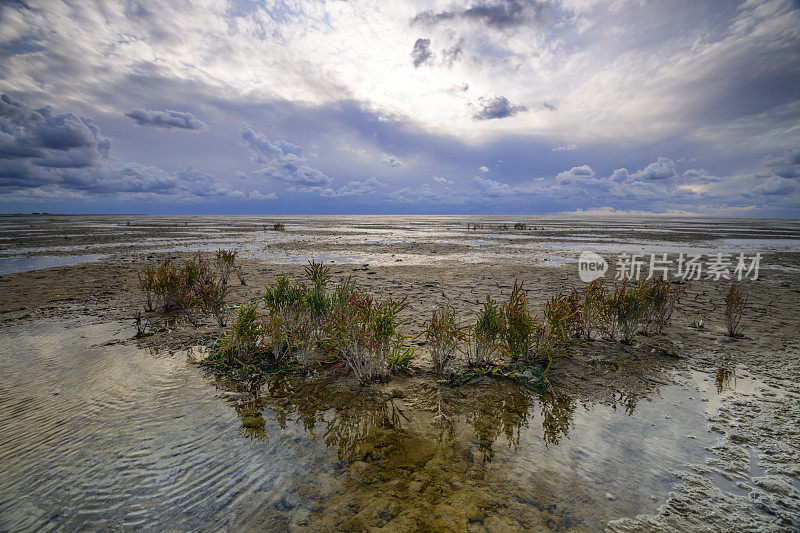 Wad或wadden空景观在瓦登海自然保护区'de wadden '与潮汐沙滩在荷兰北部